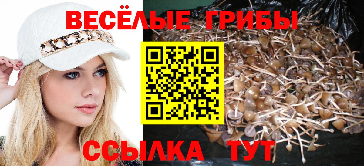Димитровград  Галлюциногенные грибы прущие грибы  Вход с VPN 
